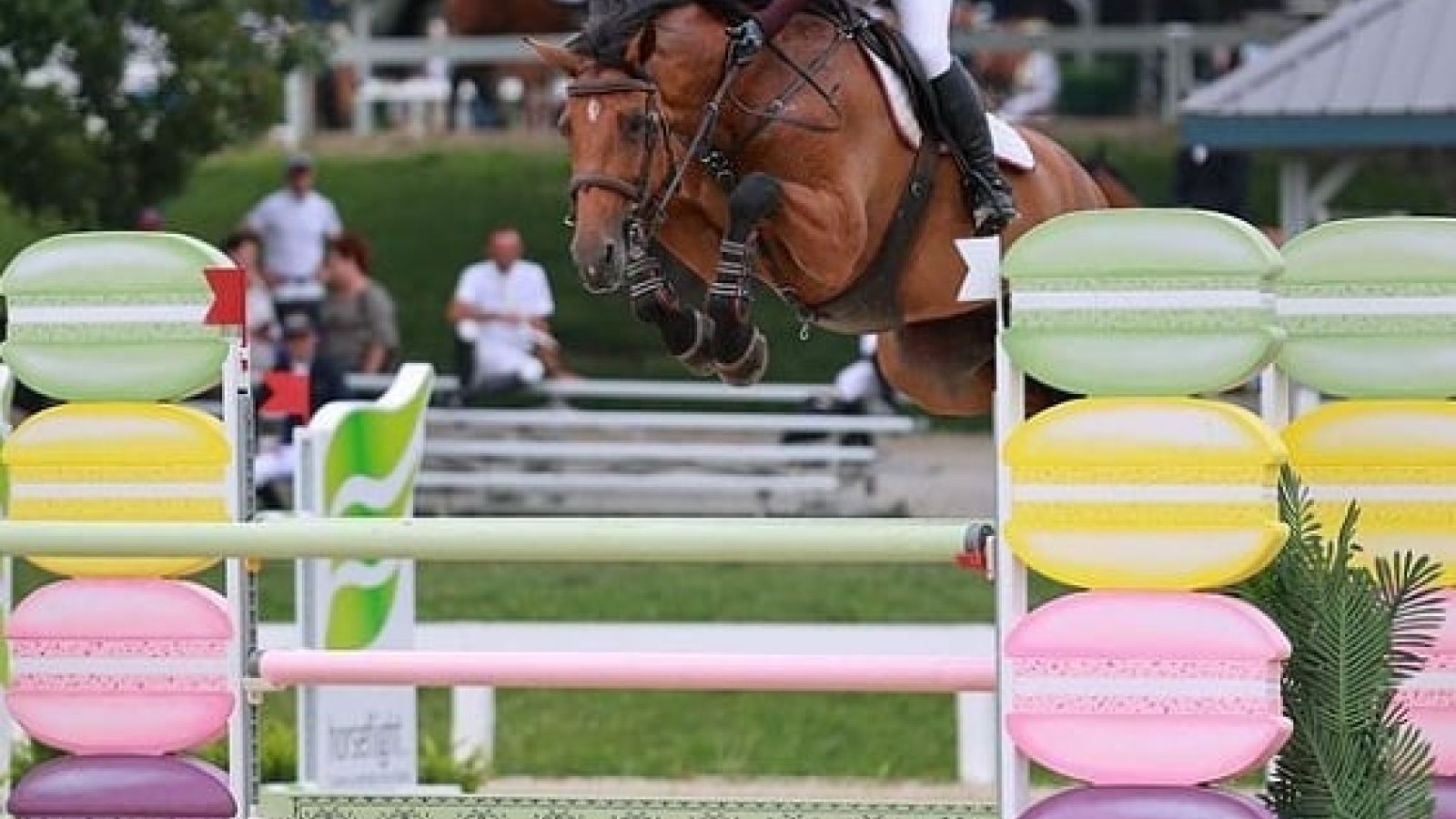 Panamá en el FEI North American YC